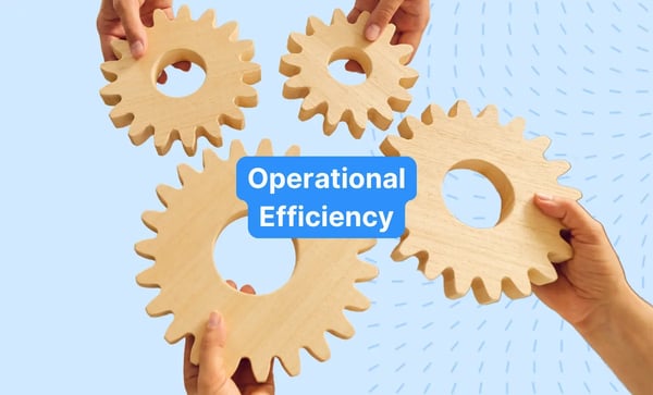 Operational efficiency in software development